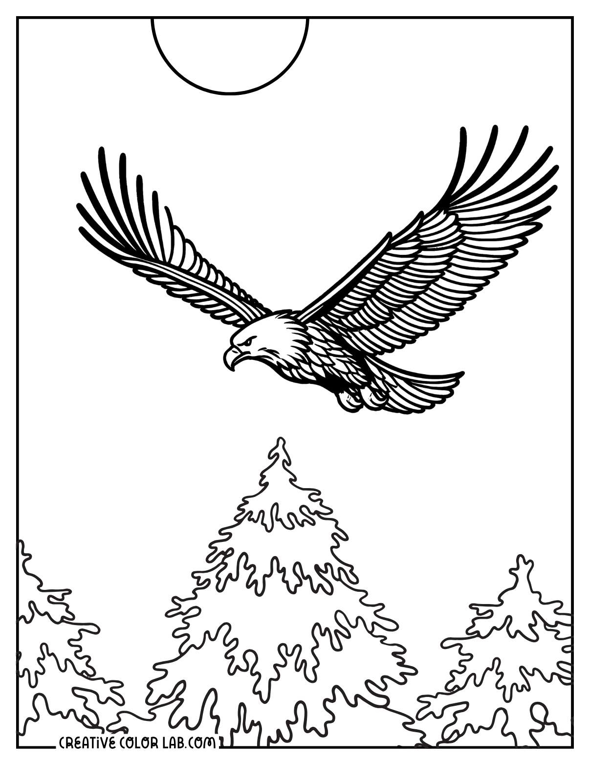 bald eagle coloring page