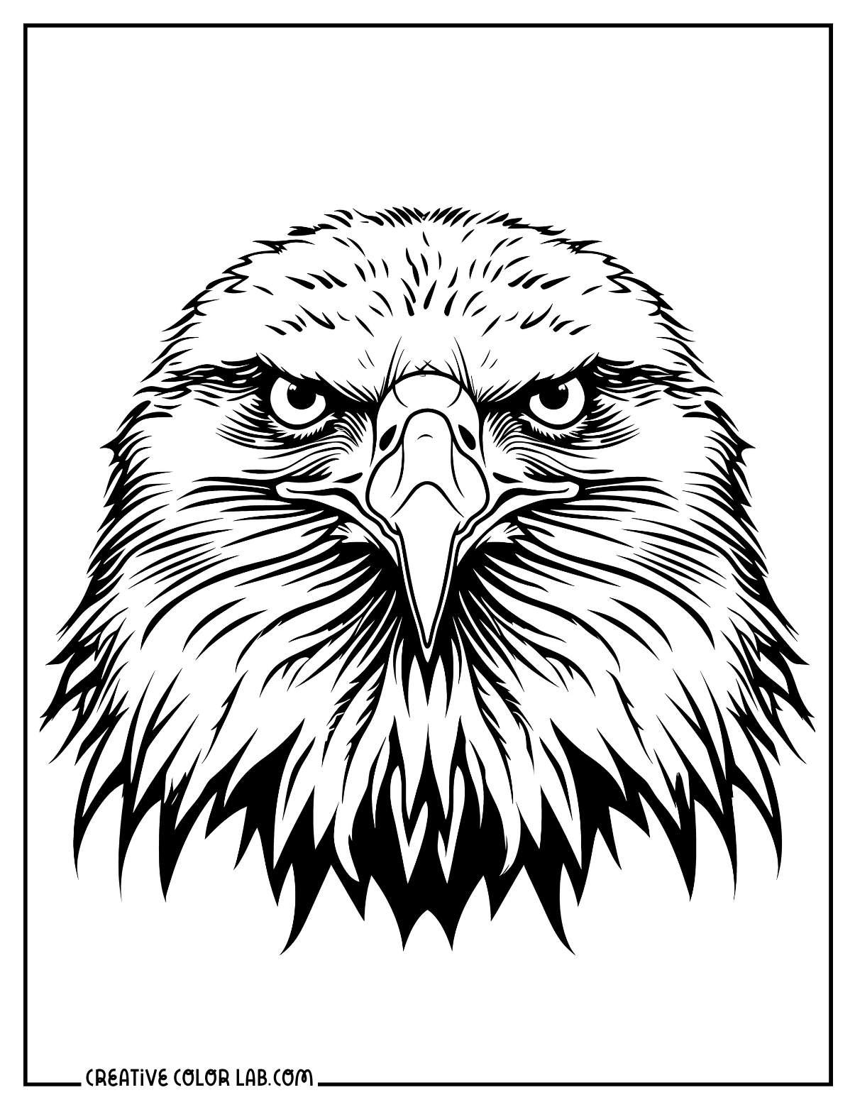 bald eagle coloring book