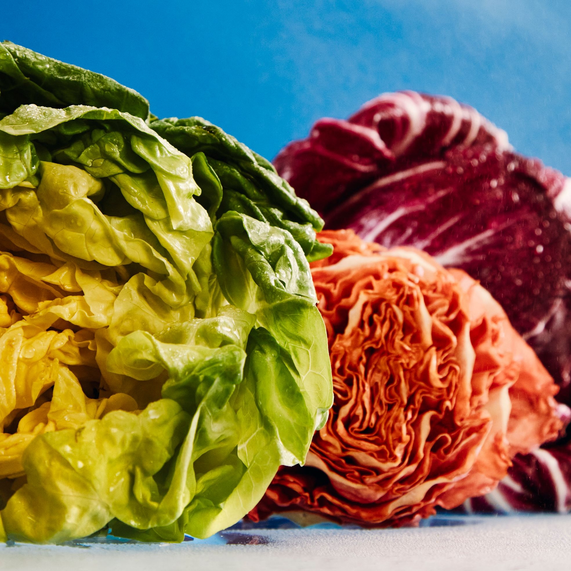 14 Types Of Lettuce And What To Do With Them Epicurious