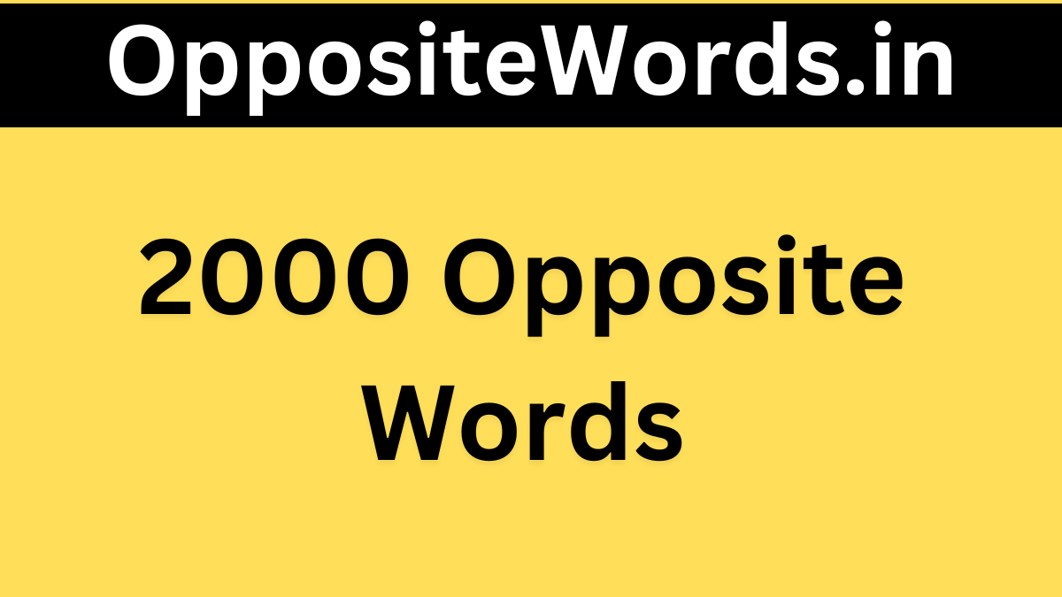 2000 Opposite Words Opposite Words