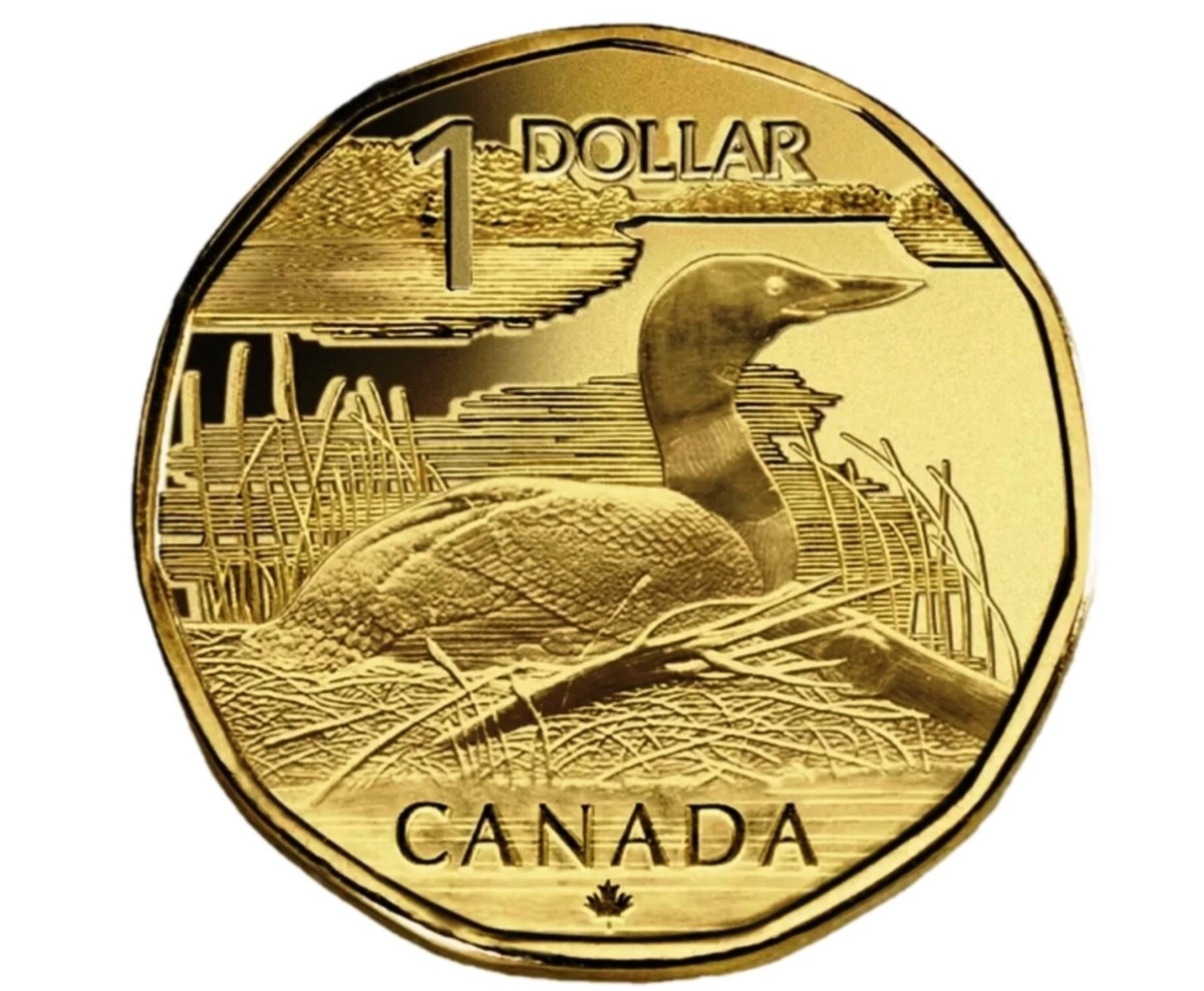 2004 Canada 1 One Dollar Coin ELUSIVE LOONIE Rare UNC EBay