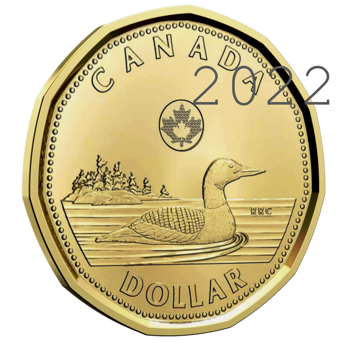  2022 Canada 1 Dollar Coin Loonie Mint UNC 2022 EBay