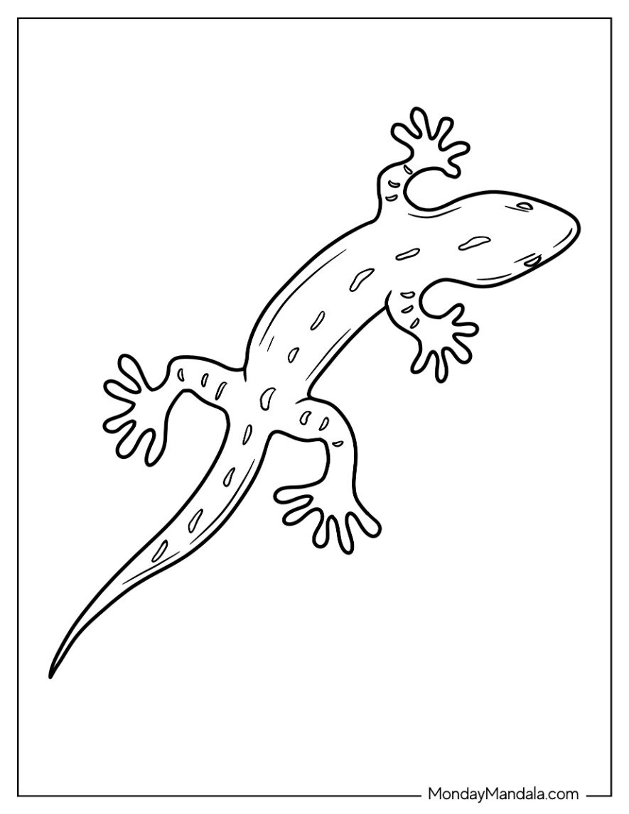 coloring page of lizard