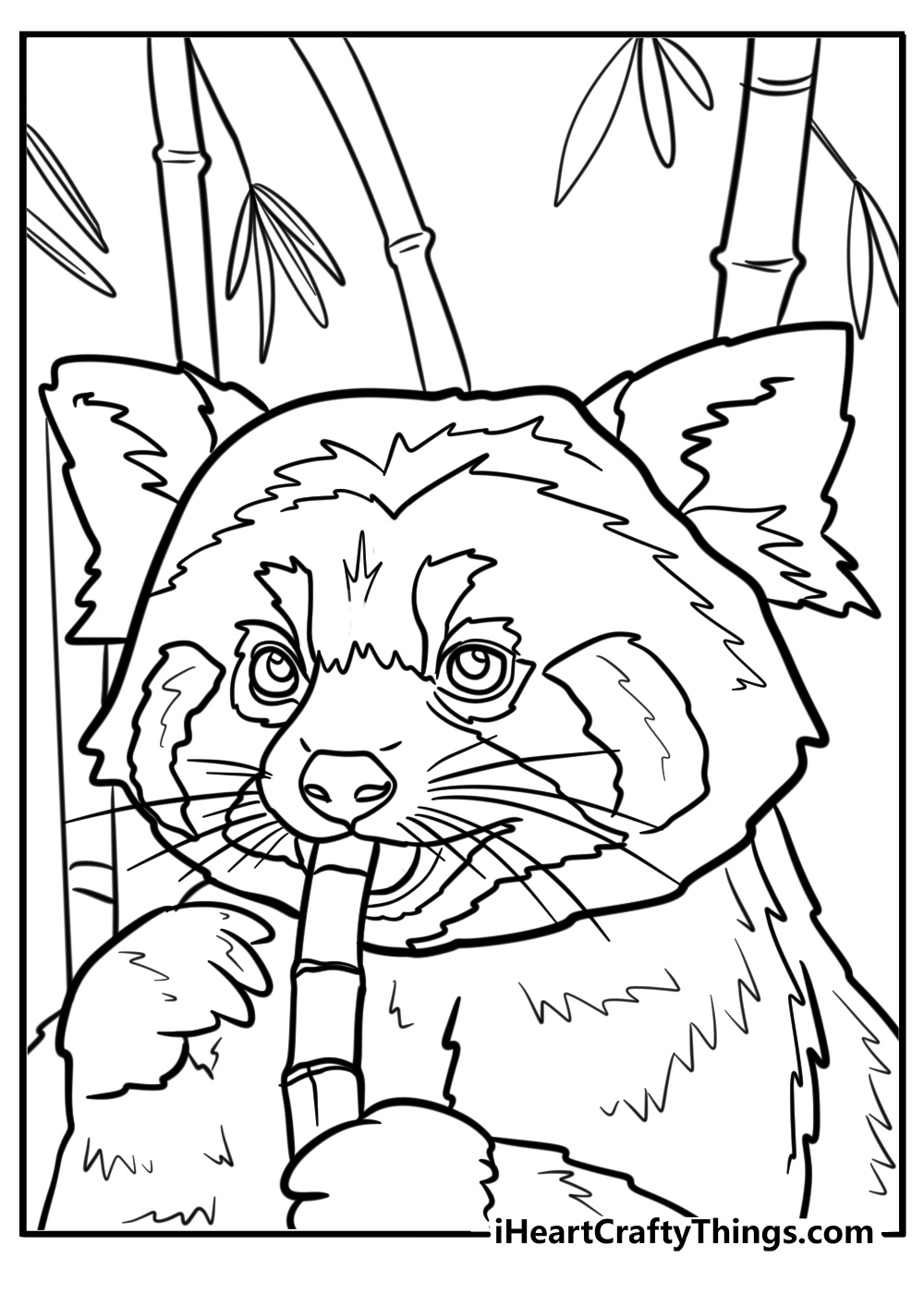 25 Red Panda Coloring Pages 100 Free To Print 