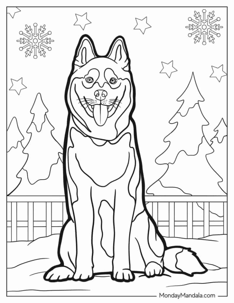 husky dog coloring pages