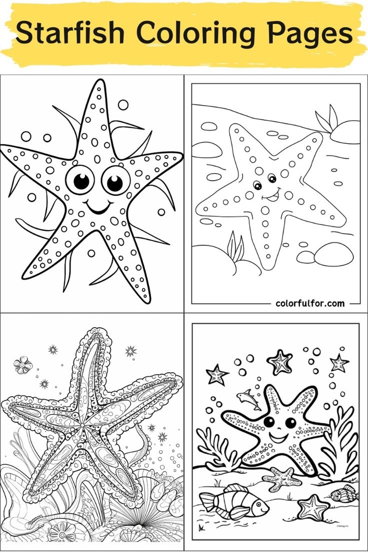 starfish coloring book page