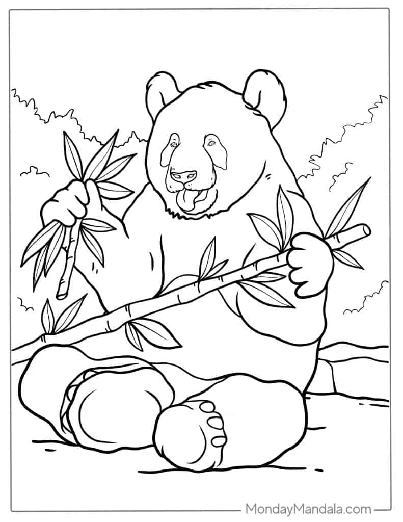 panda bear coloring book