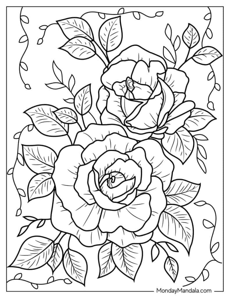 coloring pages for roses