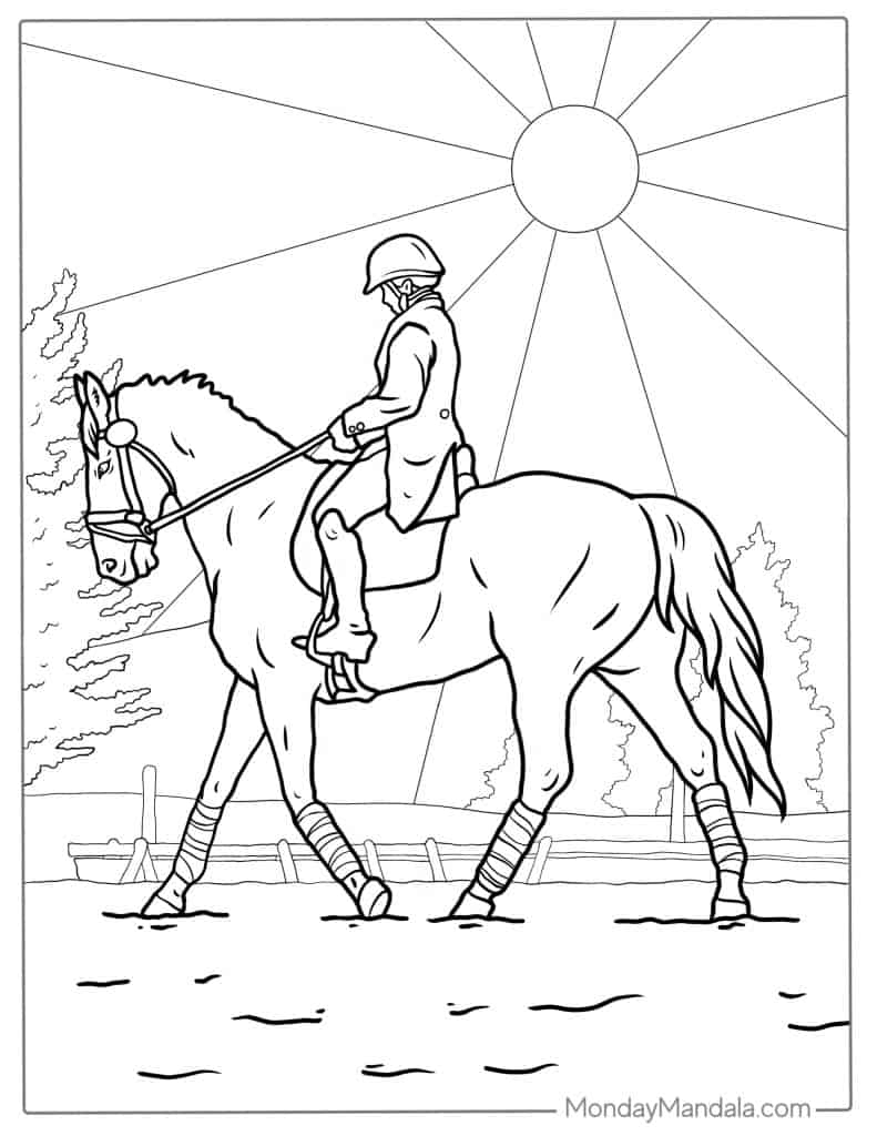 51 Horse Coloring Pages Free PDF Printables 