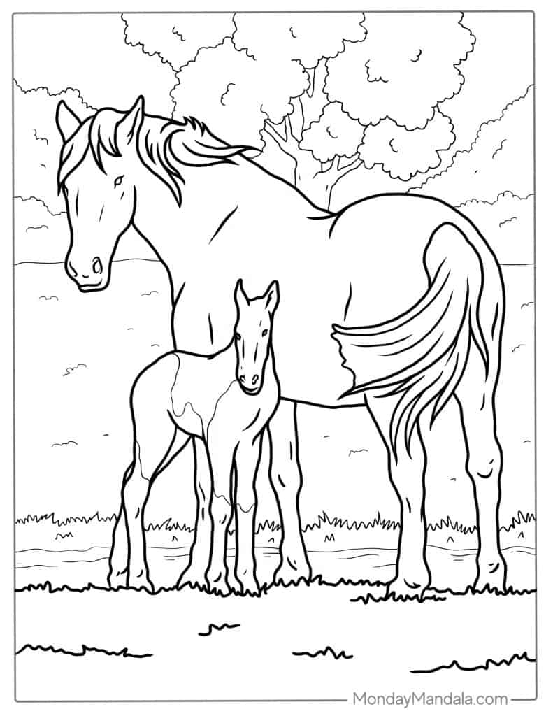 51 Horse Coloring Pages Free PDF Printables