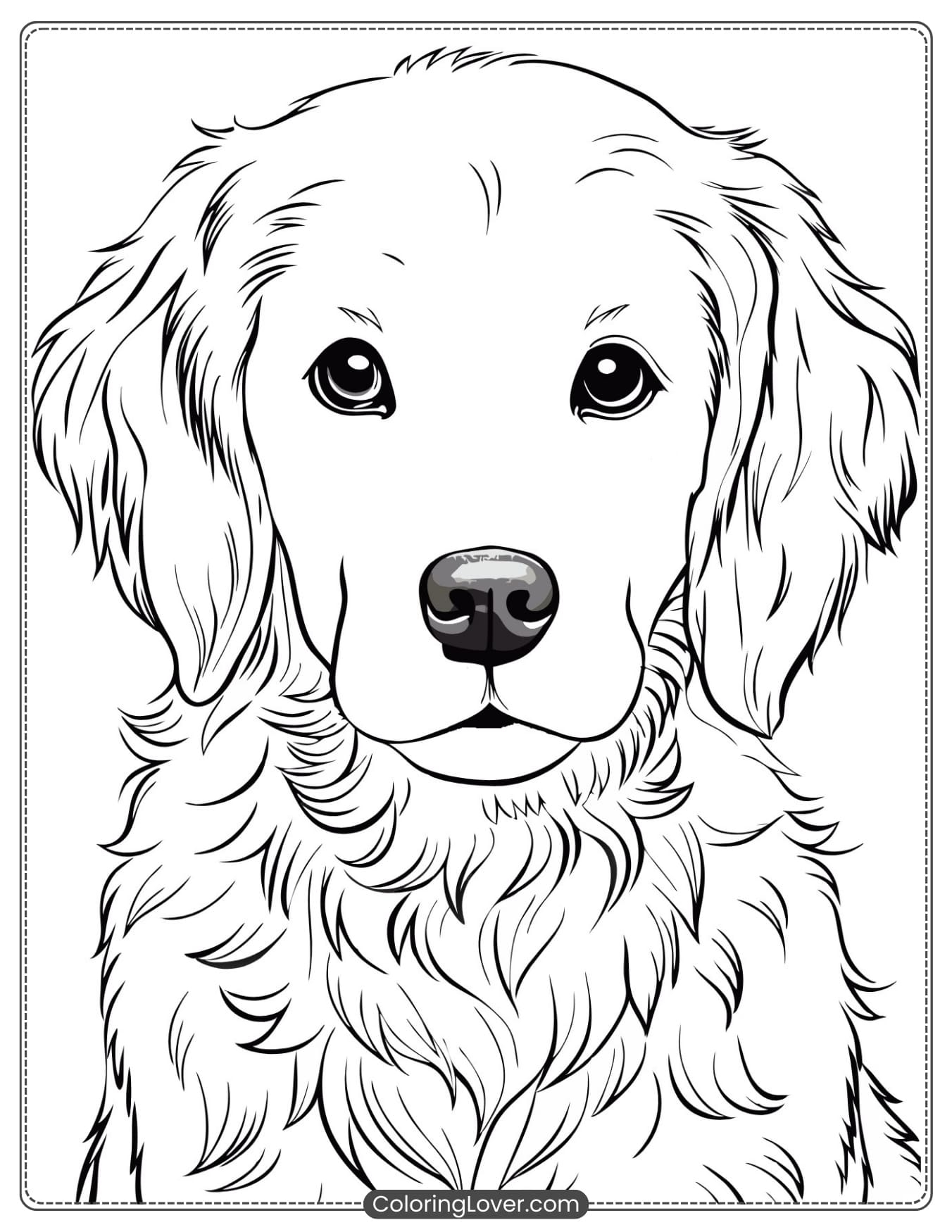 golden retriever coloring page golden retriever coloring page