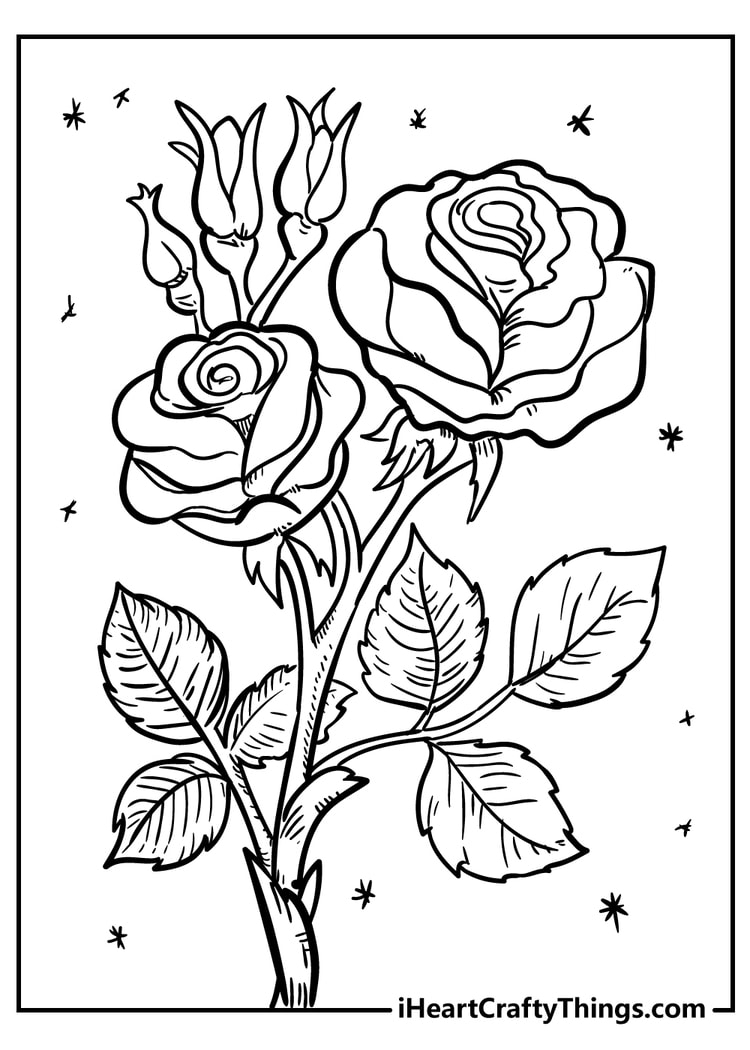 beautiful flower coloring pages