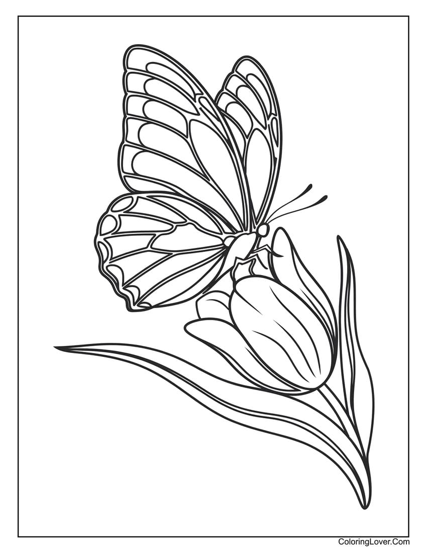 54 Butterfly Coloring Pages Free Printables For All Ages 