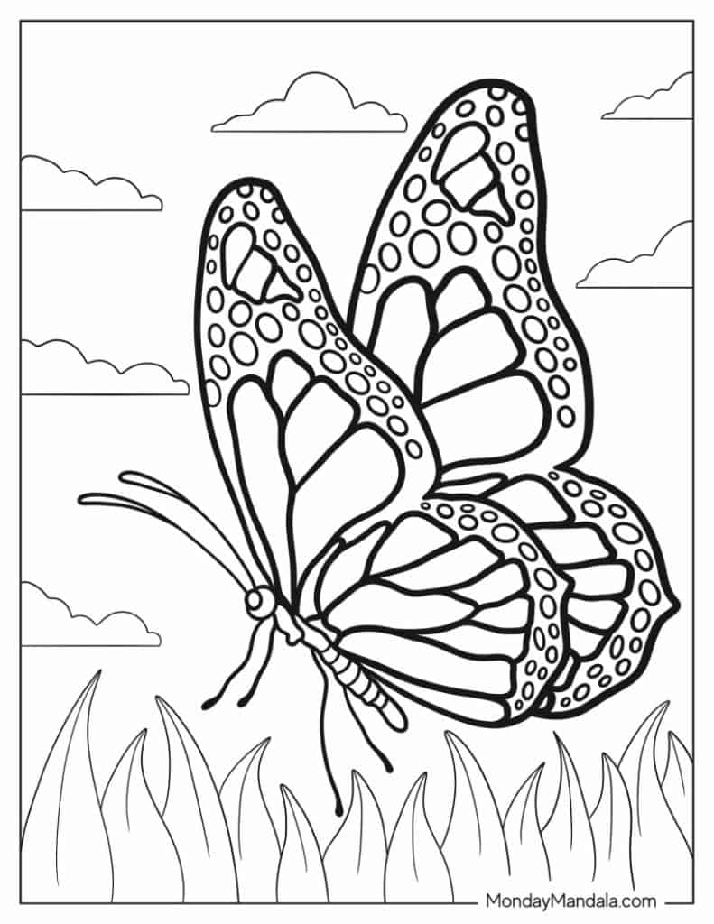 coloring picture of a butterfly