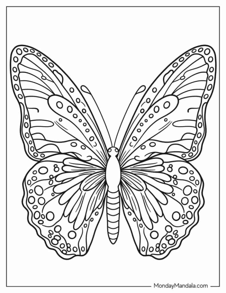 62 Butterfly Coloring Pages Free PDF Printables 