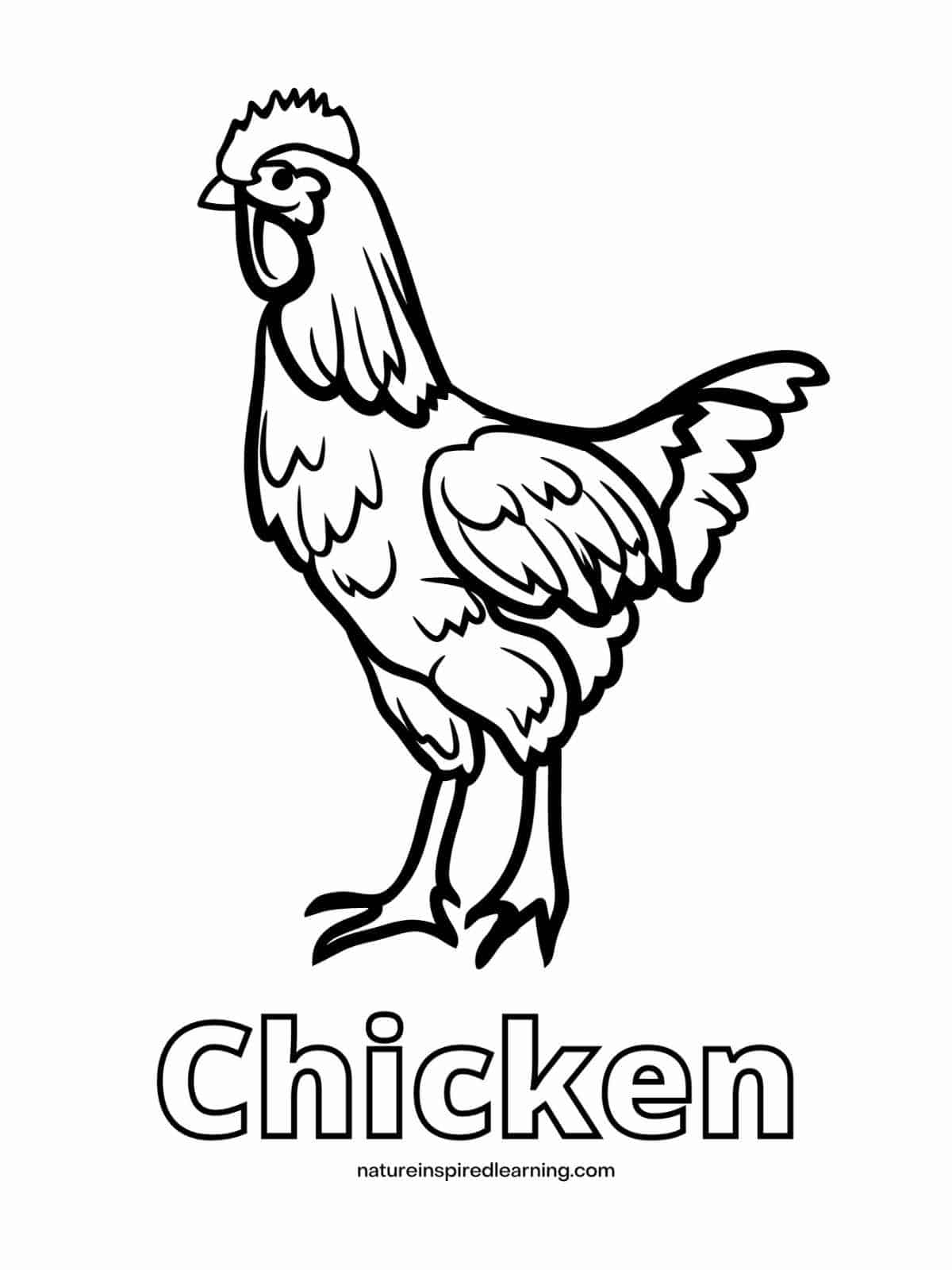 coloring pages of chickens