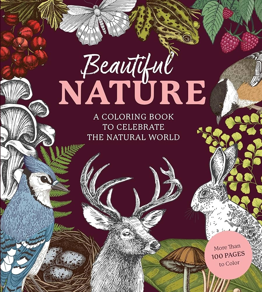 Amazon Beautiful Nature Coloring Book A Coloring Book To Celebrate The Natural World More Than 100 Pages To Color Chartwell Coloring Books 9780785843382 Editors Of Chartwell Books Books