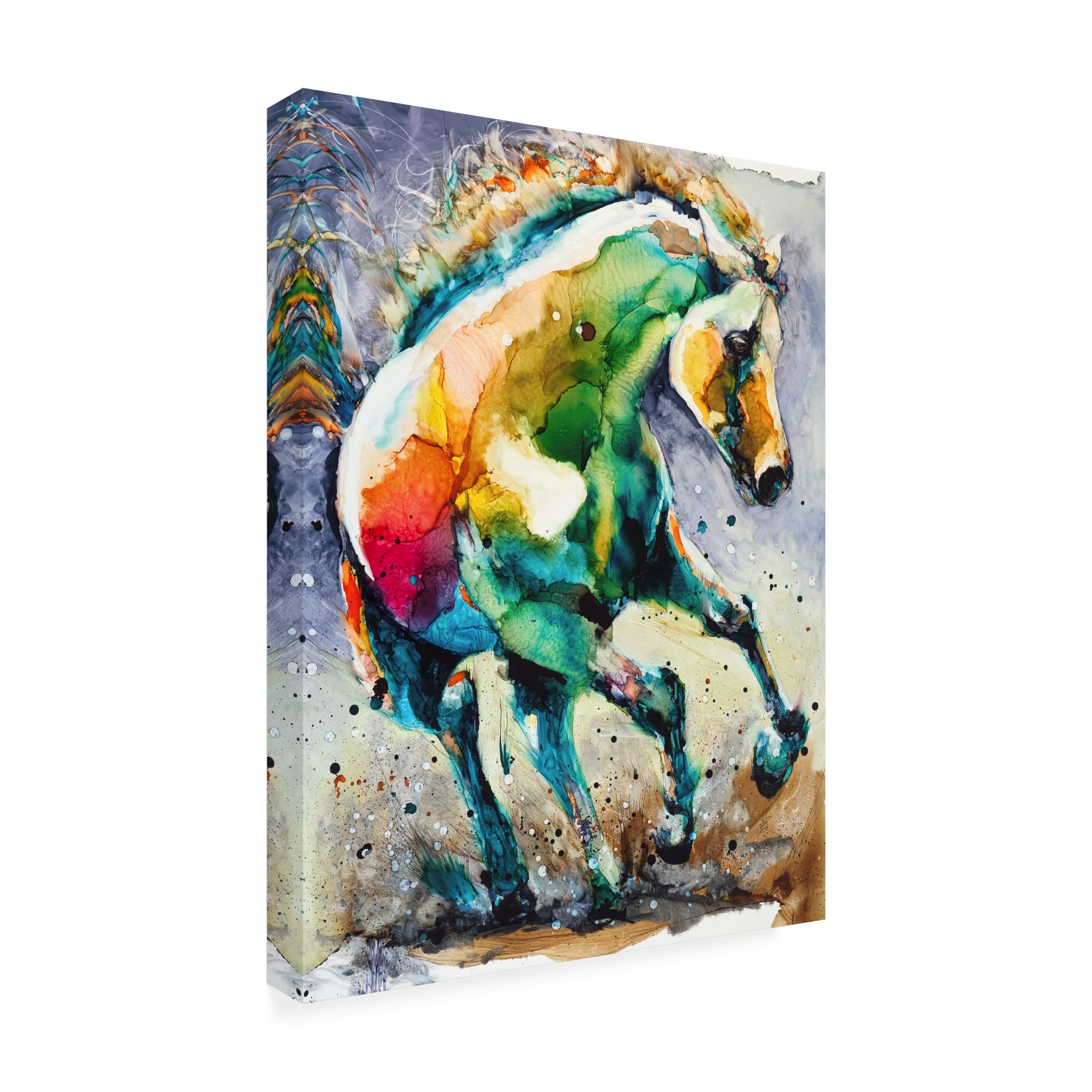 Amazon Trademark Fine Art Horse Of Another Color Canvas Art By Leslie Franklin 35x47 Posters Prints