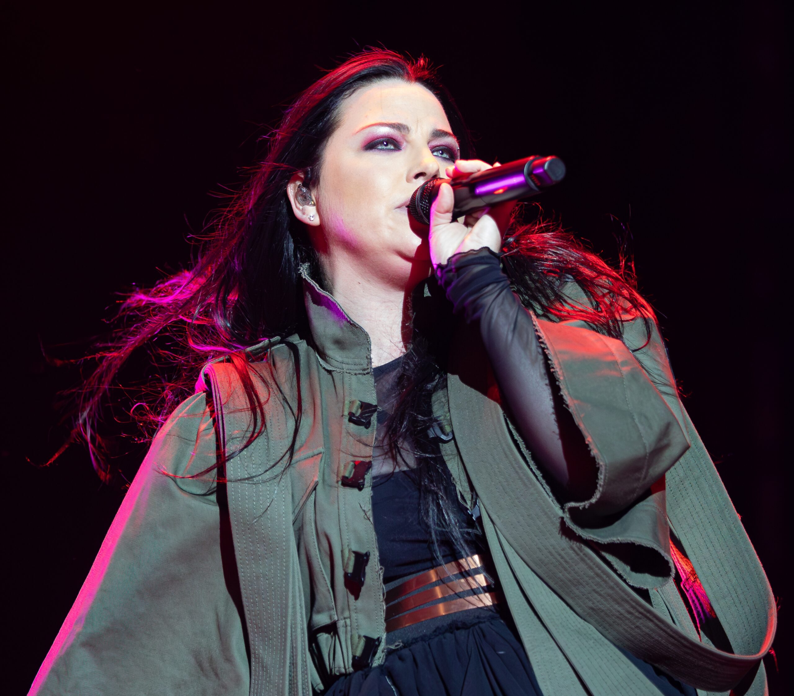 Amy Lee Wikipedia