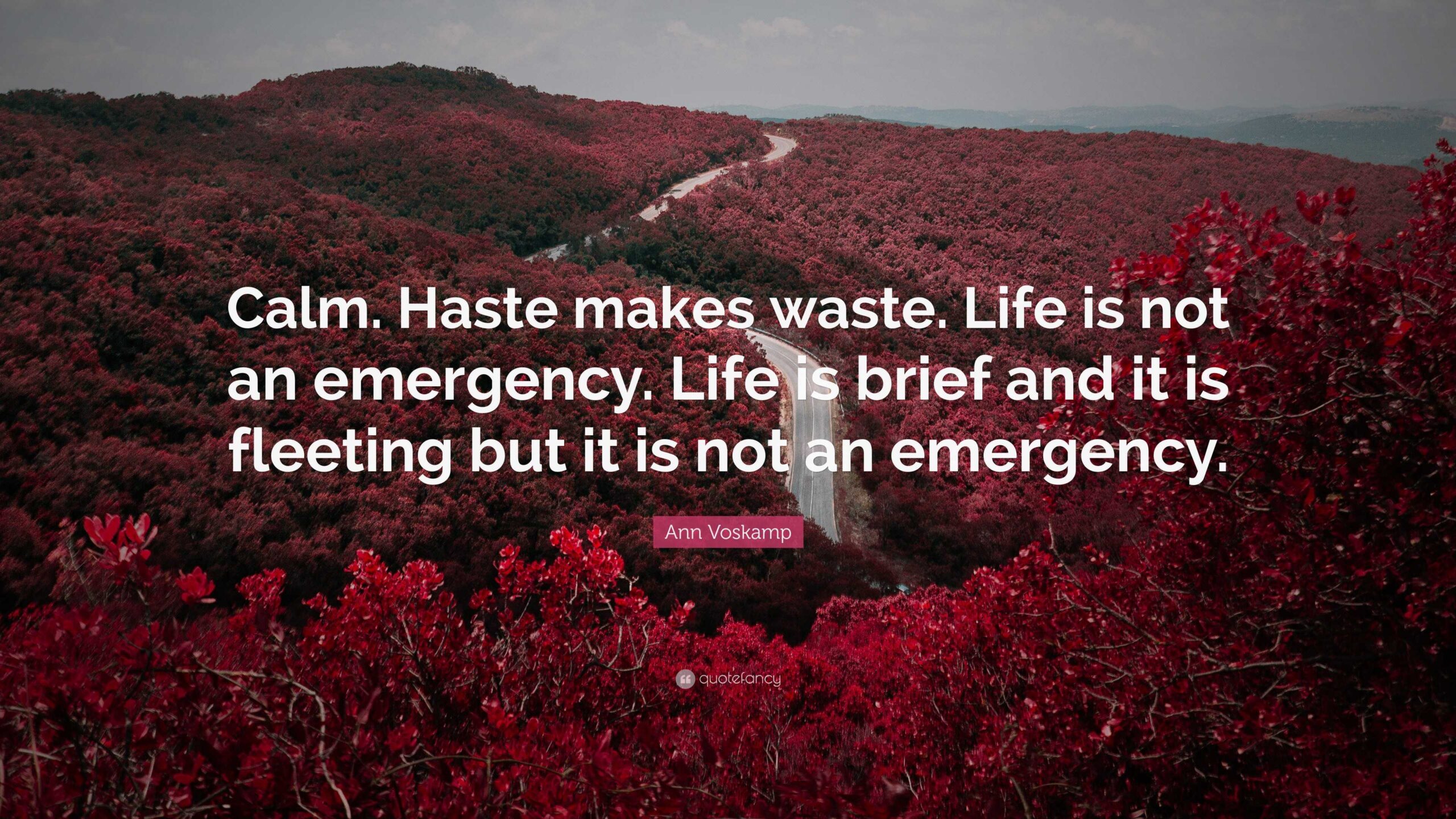 Ann Voskamp Quote Calm Haste Makes Waste Life Is Not An Emergency Life Is Brief And