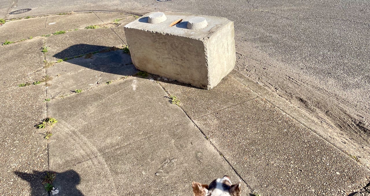 Around The Block By Rob Walker The Art Of Noticing