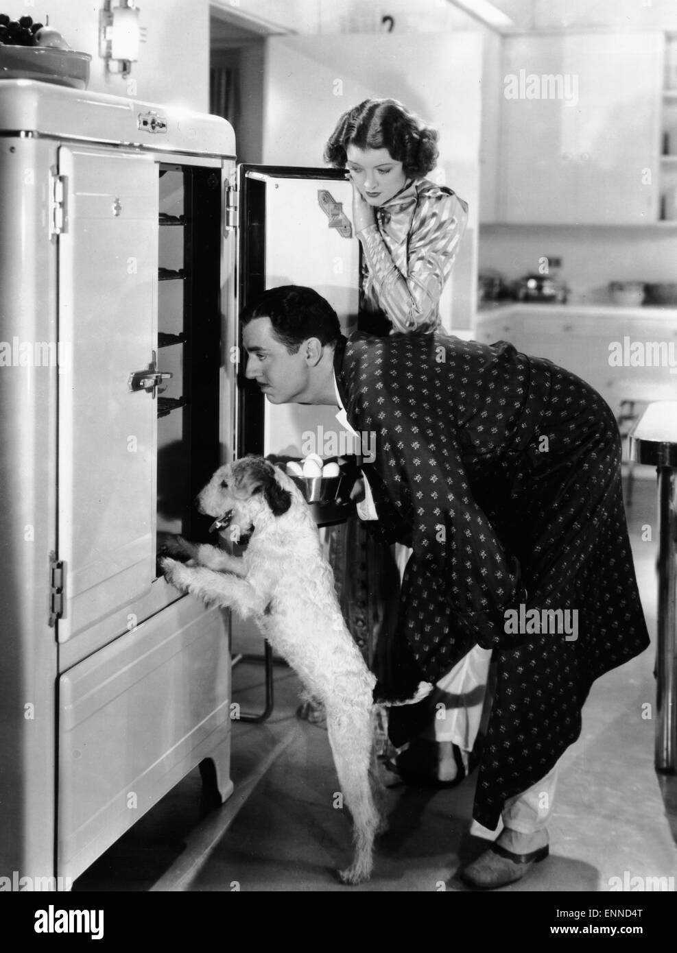 Asta The Dog Hi res Stock Photography And Images Alamy