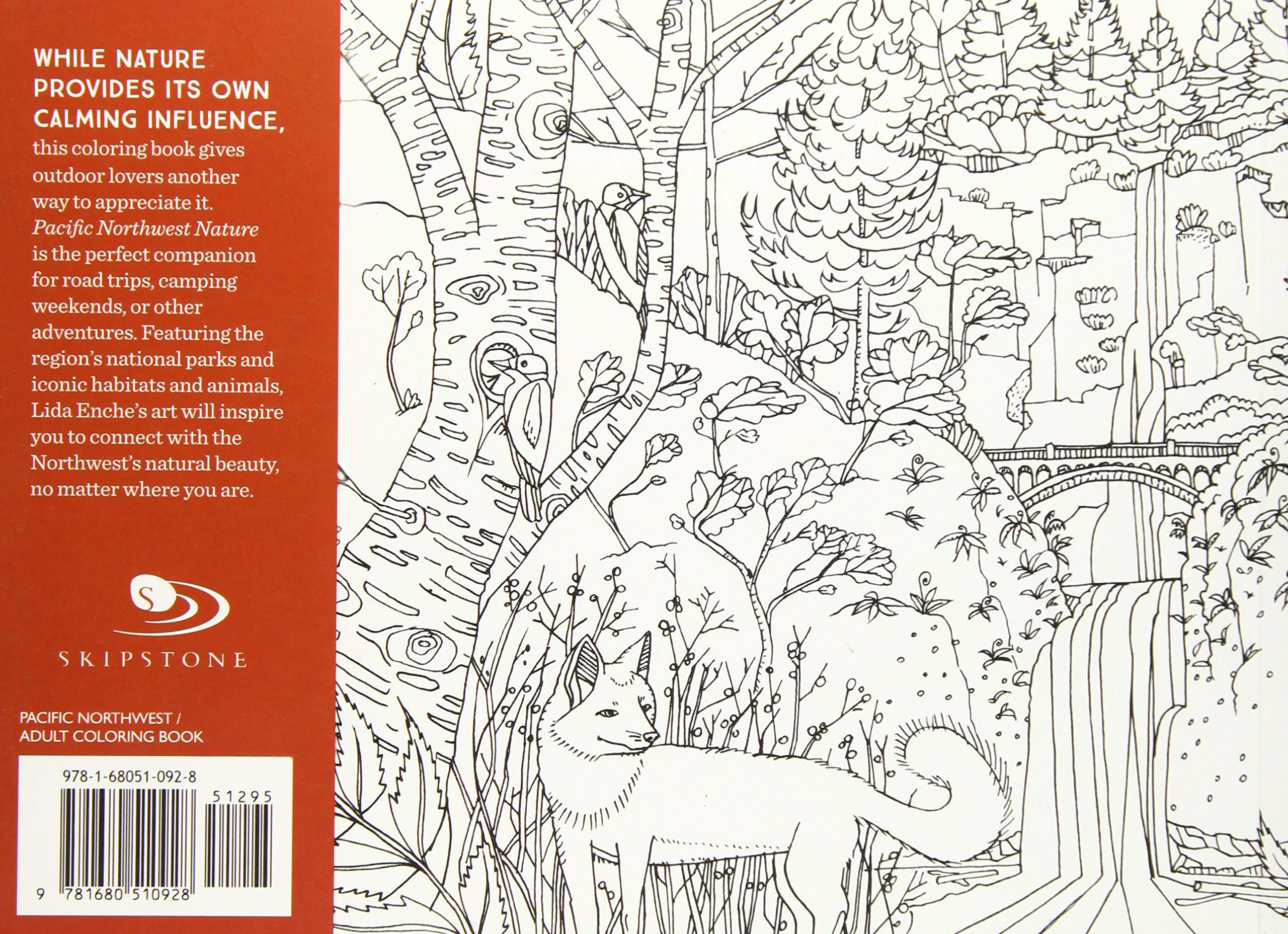 B 123 Pacific Northwest Nature Coloring For Calm And Mindful Purposes Adopt A Stream Foundation