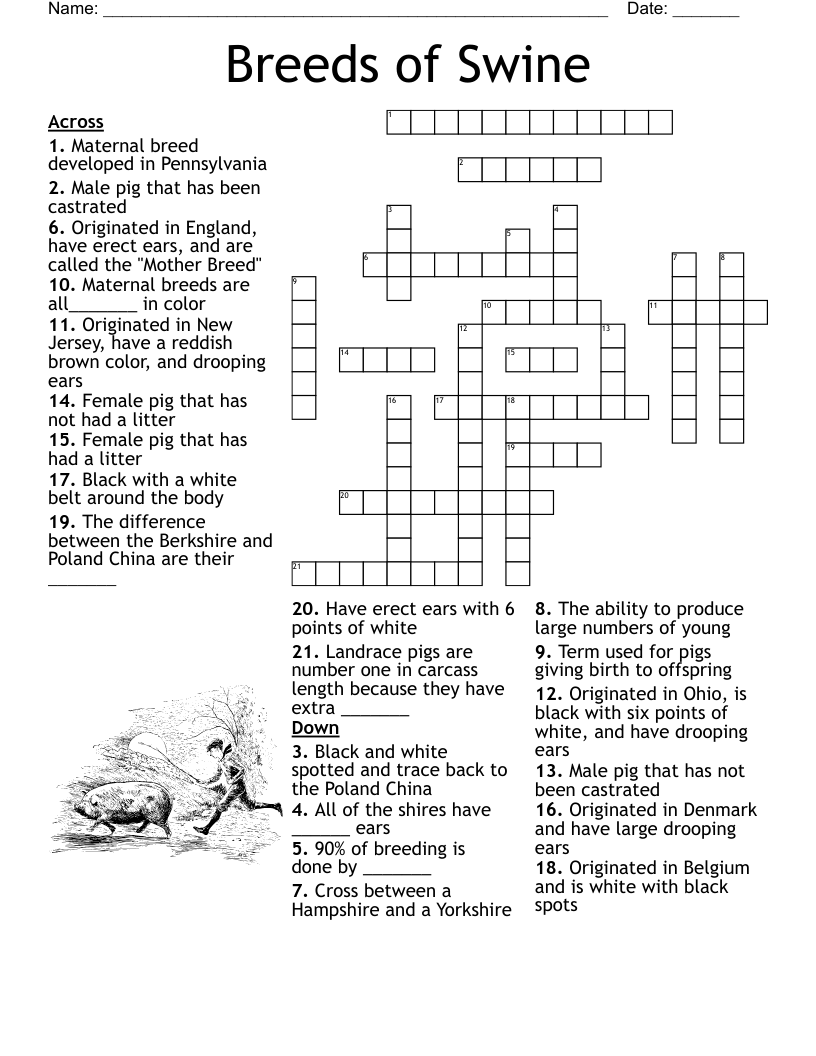 Belgium Crossword WordMint