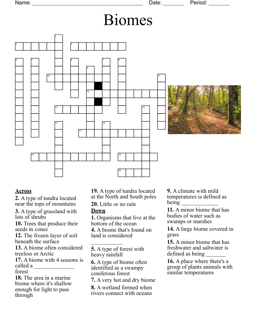 Biomes Crossword WordMint