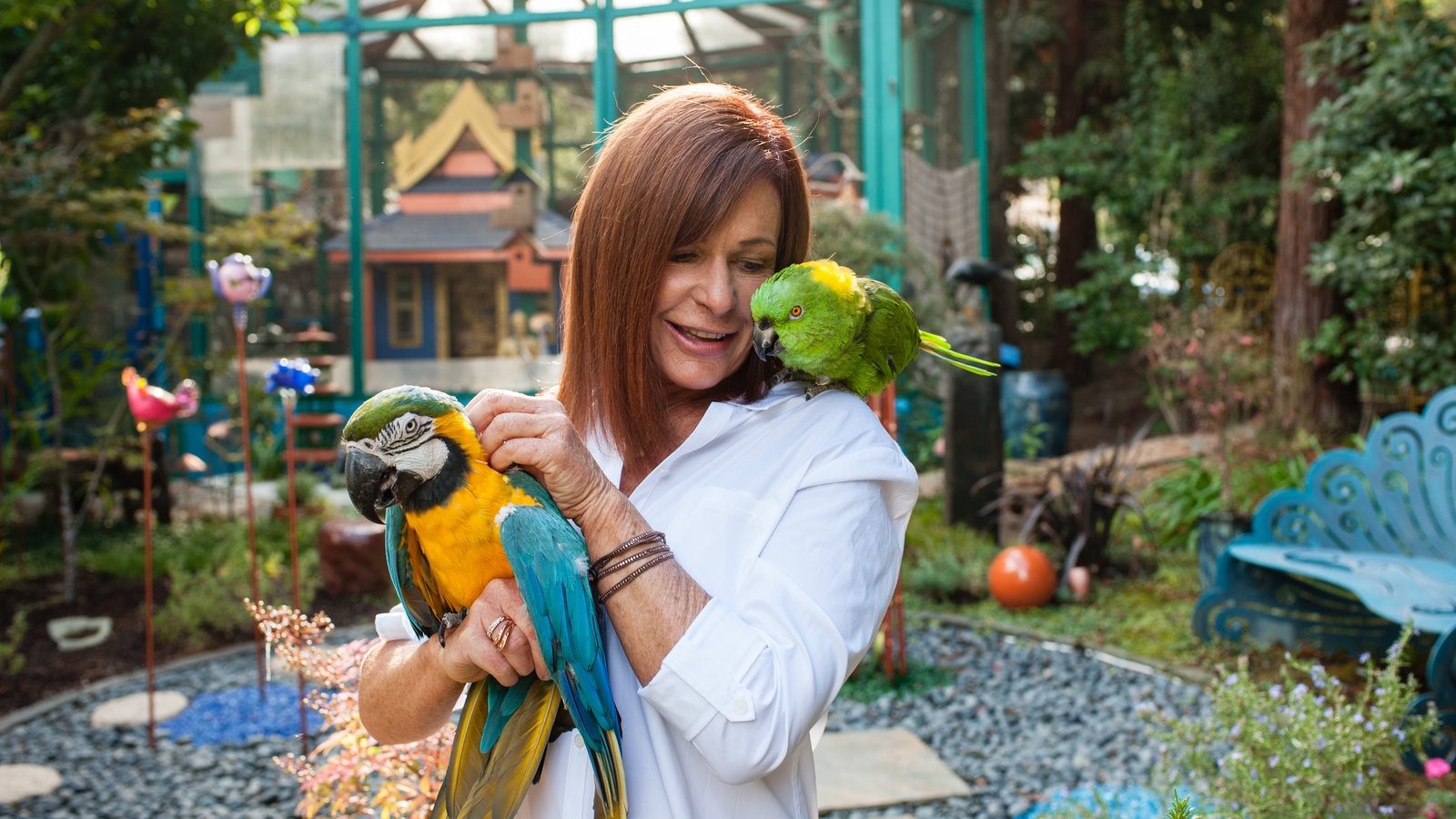 macaw genus crossword clue