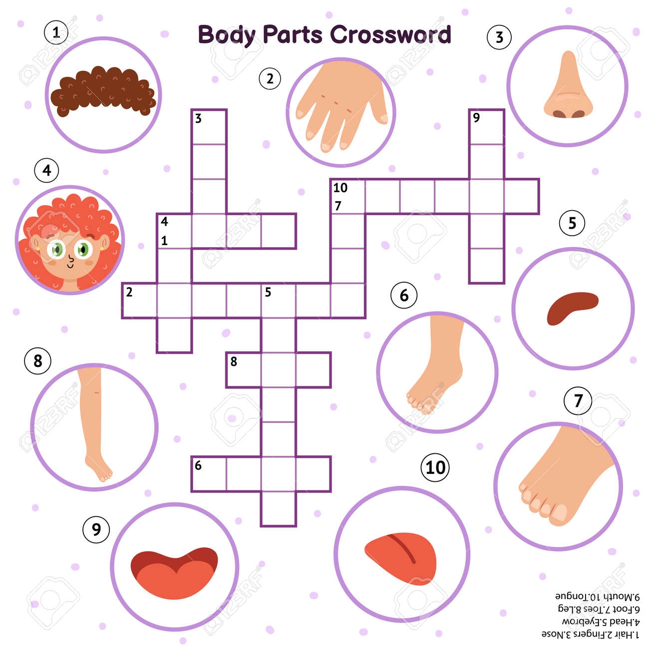 Body Parts Crossword With Head Hair Fingers Nose Eyebrow Foot Toes Leg Mouth Tongue Royalty Free SVG Cliparts Vectors And Stock Illustration Image 157119737 