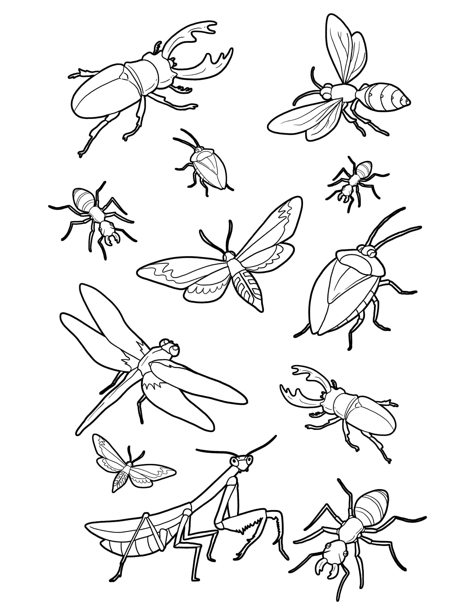 Bug Coloring Page Bugs And Insects Printable Digital Download Cute Bugs Art Activity Etsy