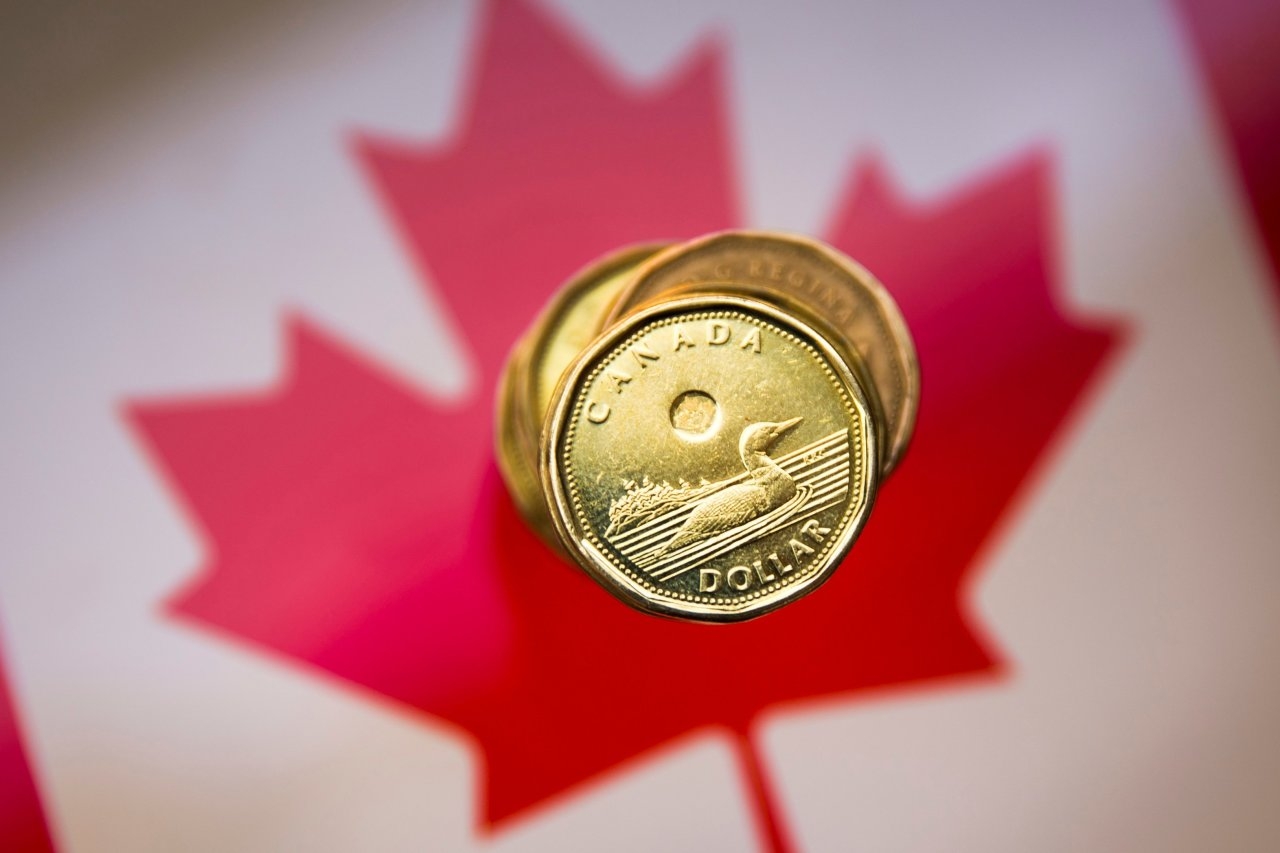 bird on the canadian dollar