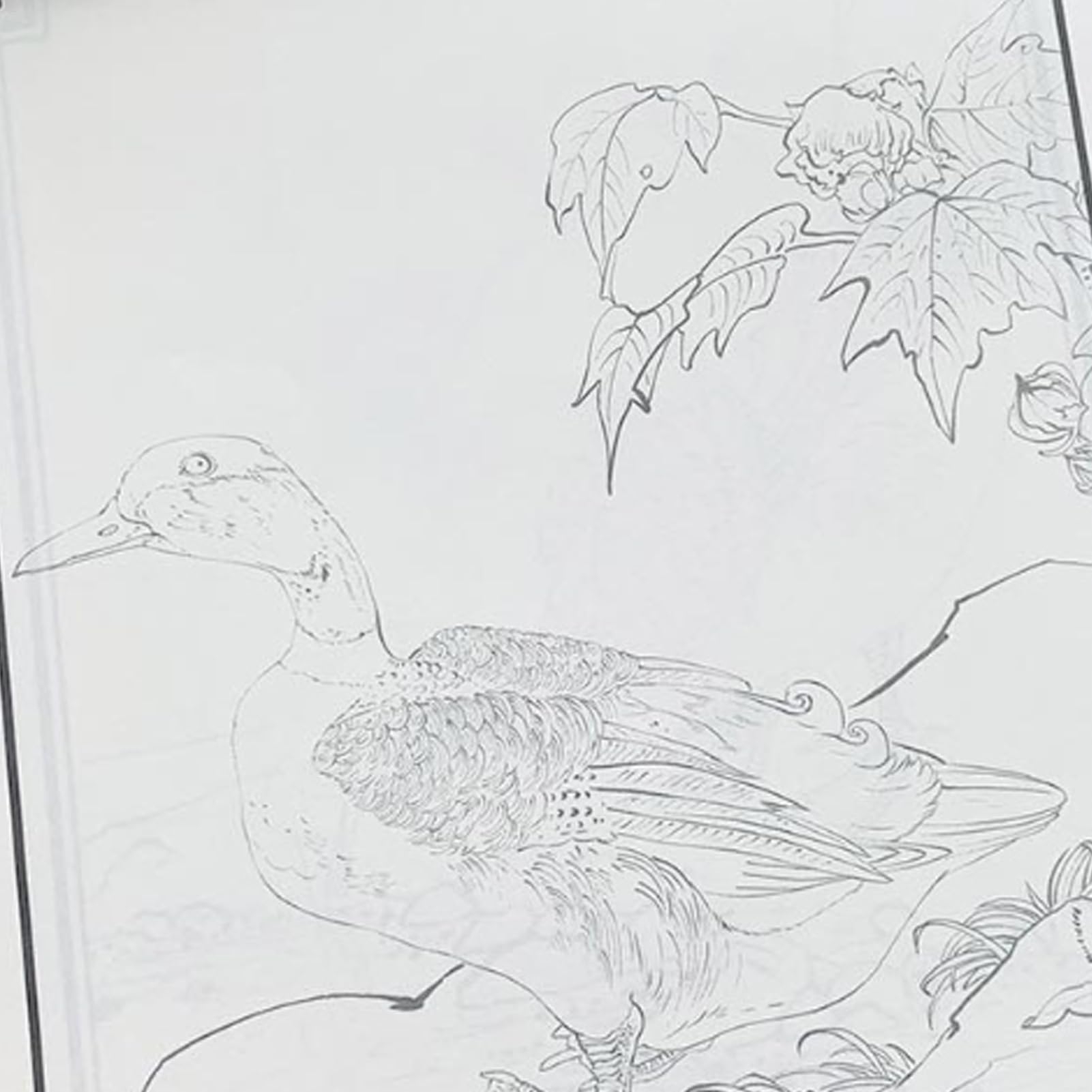 Chinese Painting Copying Album Graffiti Painting Book Portable Beginner Sketchbook Funny Art Supplies For Home Studio School Amazon au Home