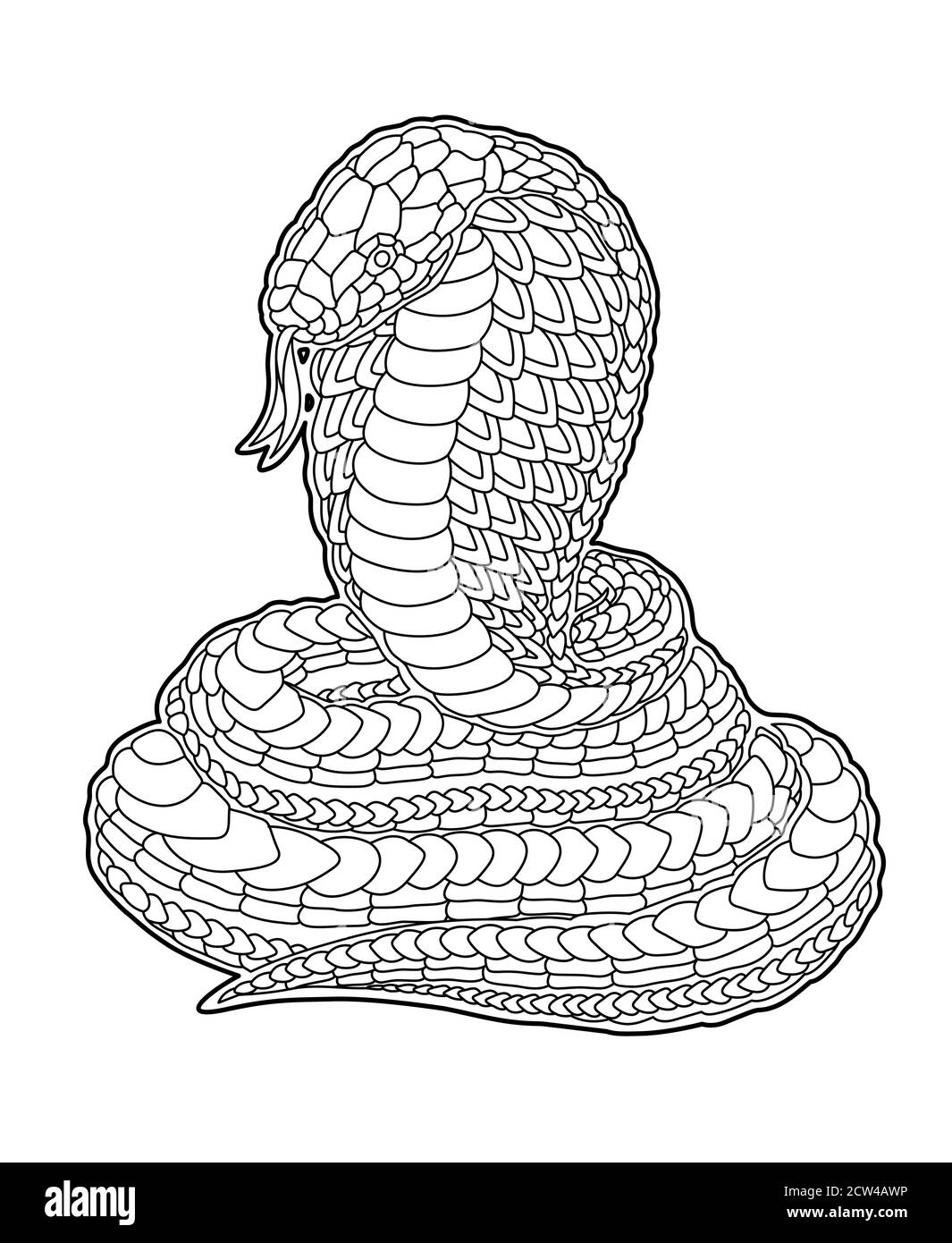 Cobra Snake Coloring Book Hi res Stock Photography And Images Alamy