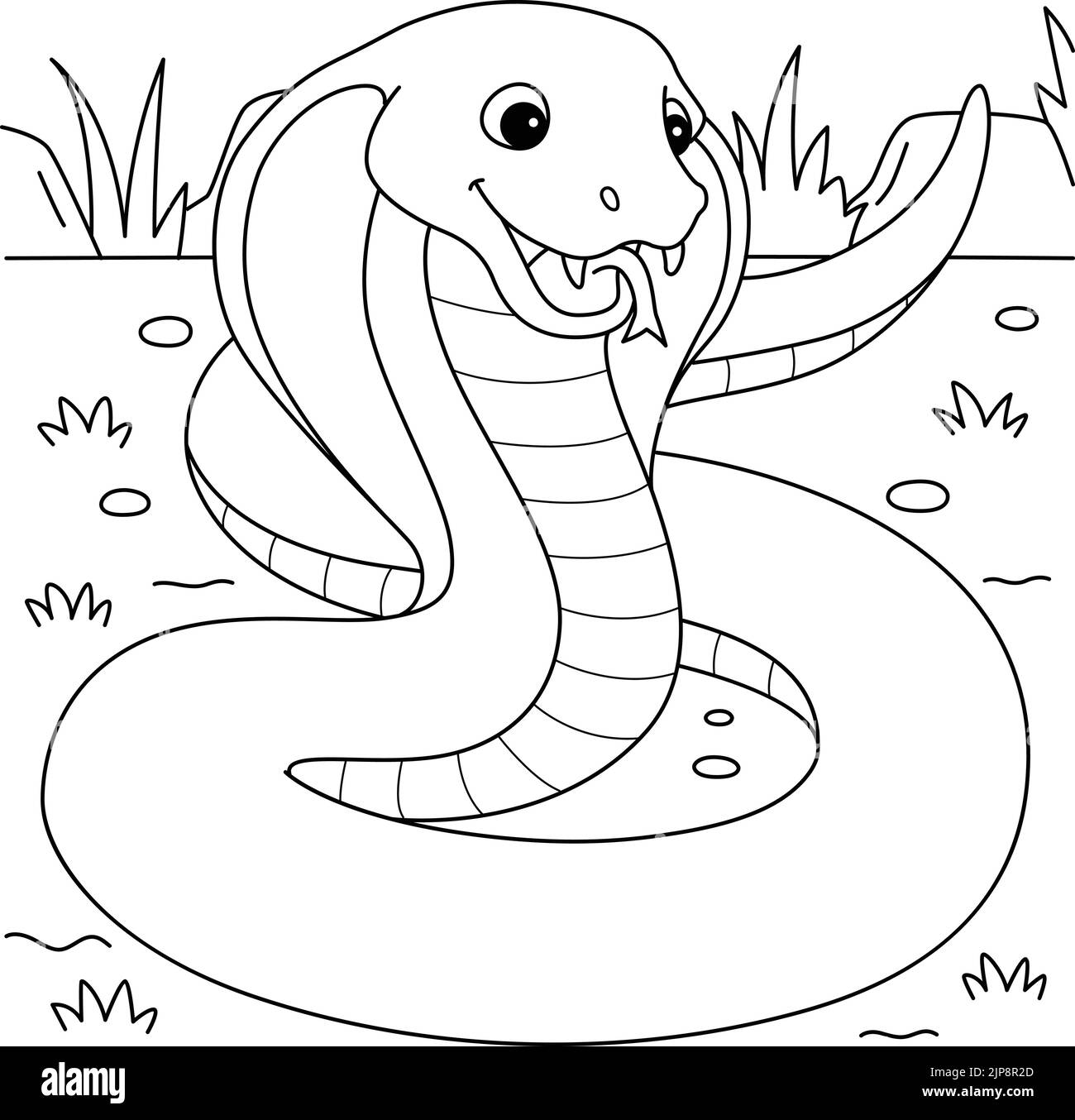 Cobra Snake Coloring Book Hi res Stock Photography And Images Alamy