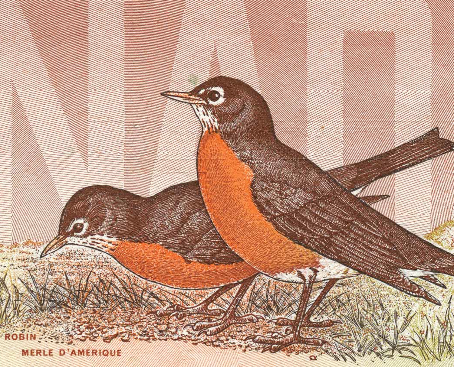 Coins And Canada The Birds Of Canada Series 1986 Articles On Canadian Banknotes