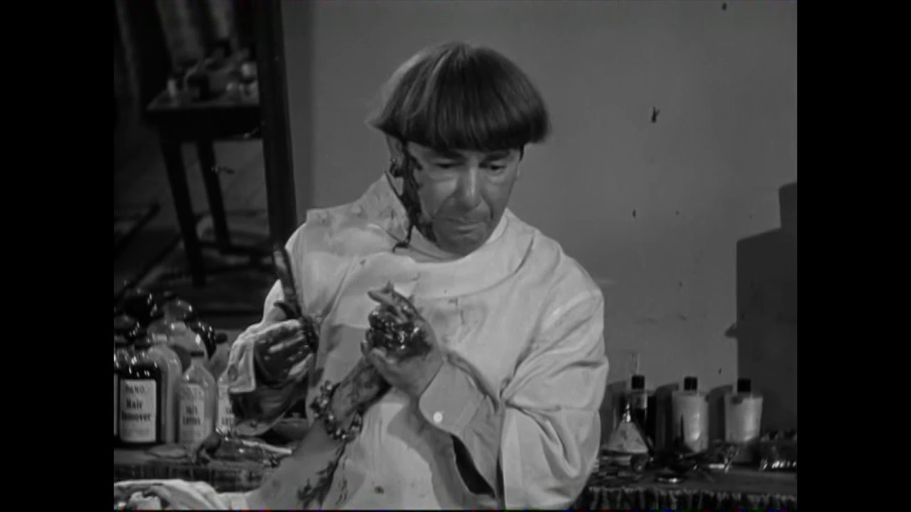 Cookoo Cavaliers Short 1940 IMDb