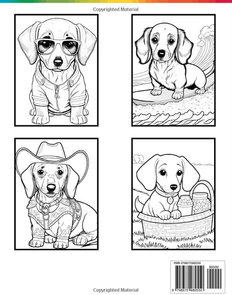 Dachshund Coloring Book Fun And Easy Dog Coloring Pages In Cute Style With Dachshund For Kids Adults Dogs Coloring Books For Kids Adults Sommer Alura 9798372982550 Amazon Books