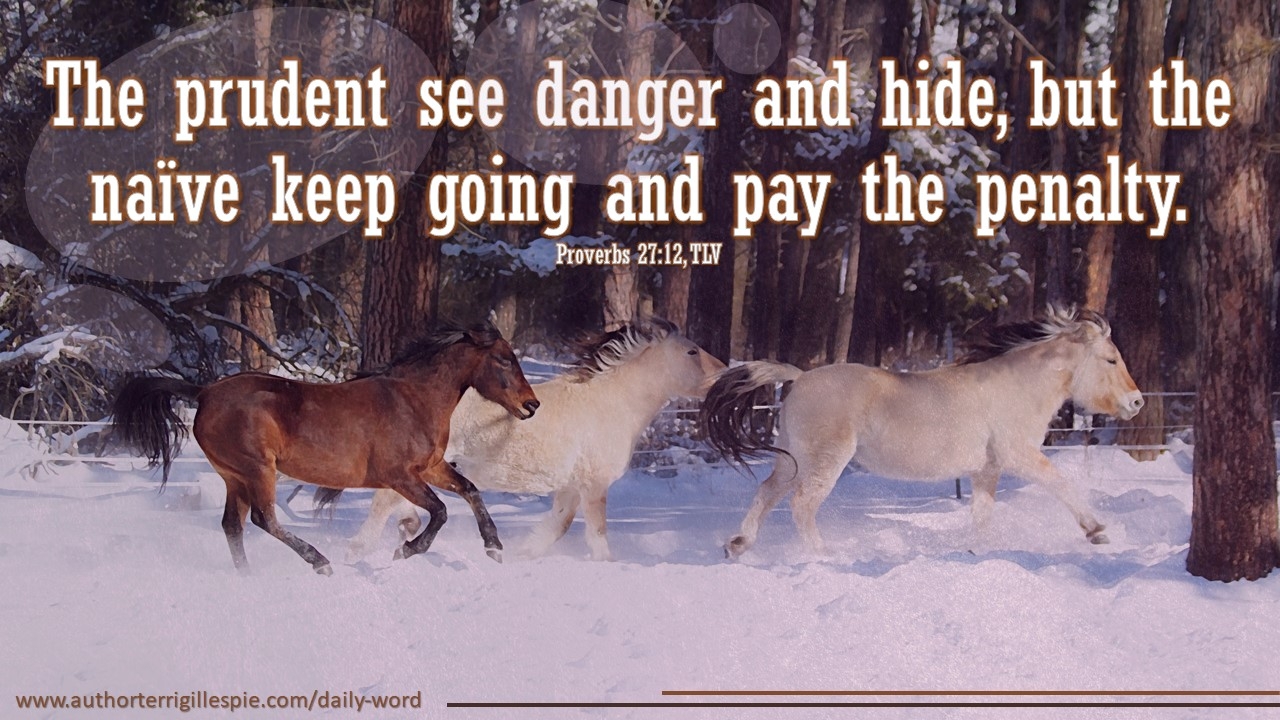 Daily Blog Watch The Rear Proverbs 27 12 Terri Gillespie