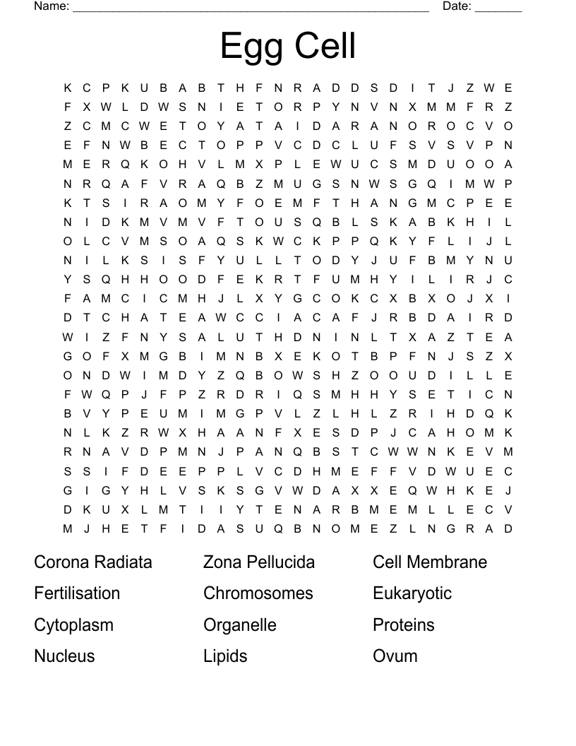 Egg Cell Word Search WordMint