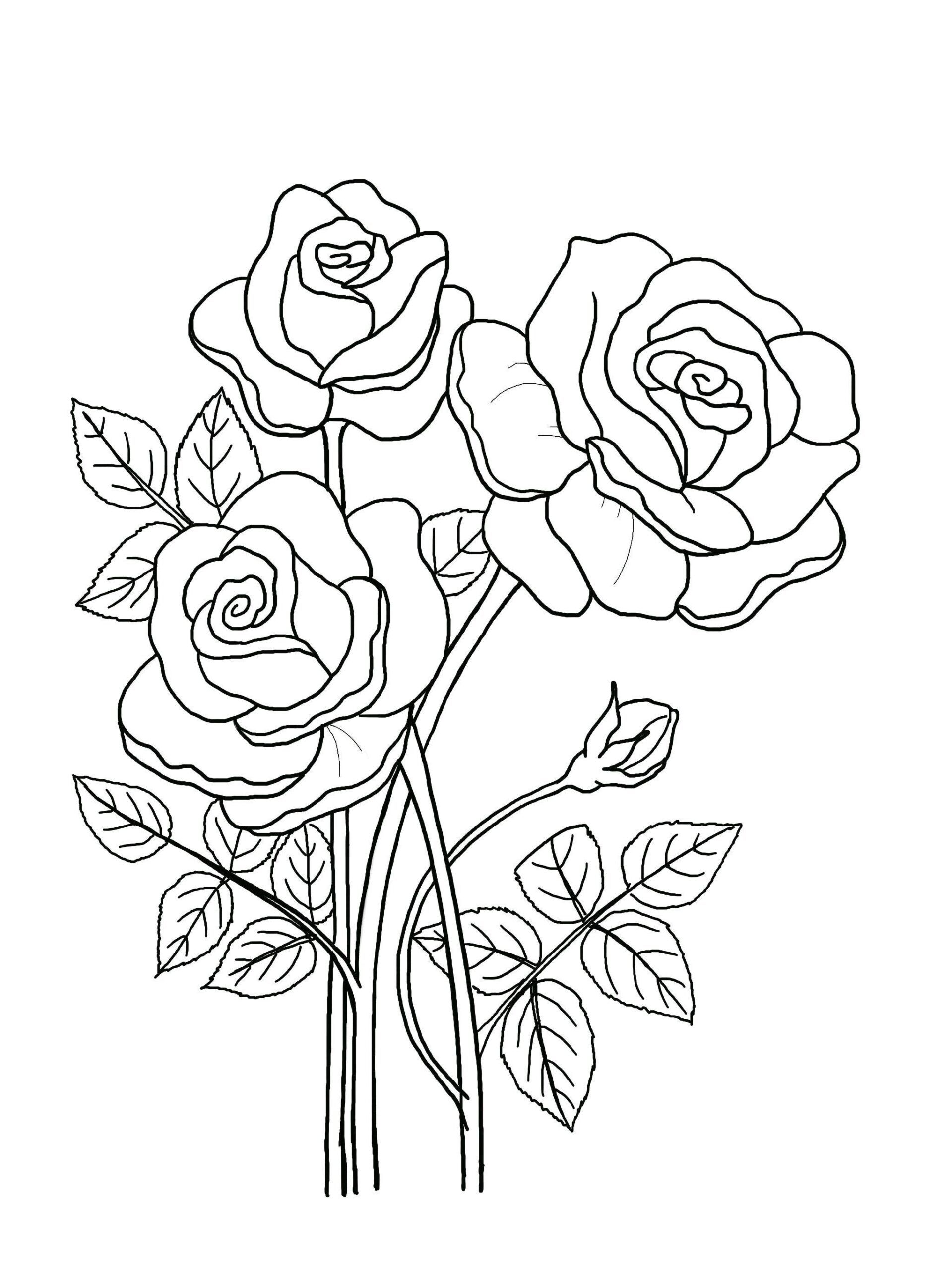 Floral Coloring Pages Hand drawn Flowers 5 page Book PDF JPG Etsy Denmark