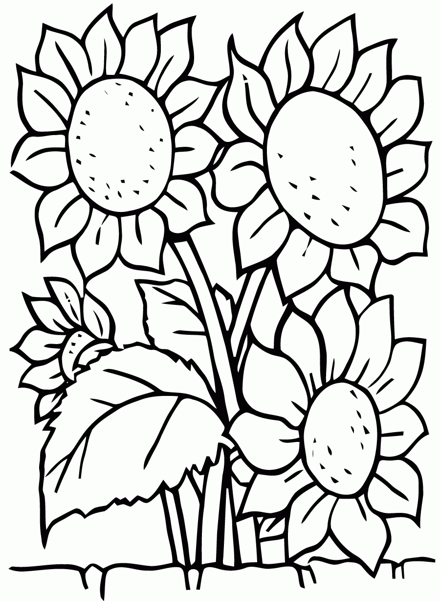 flower coloring pages for kids