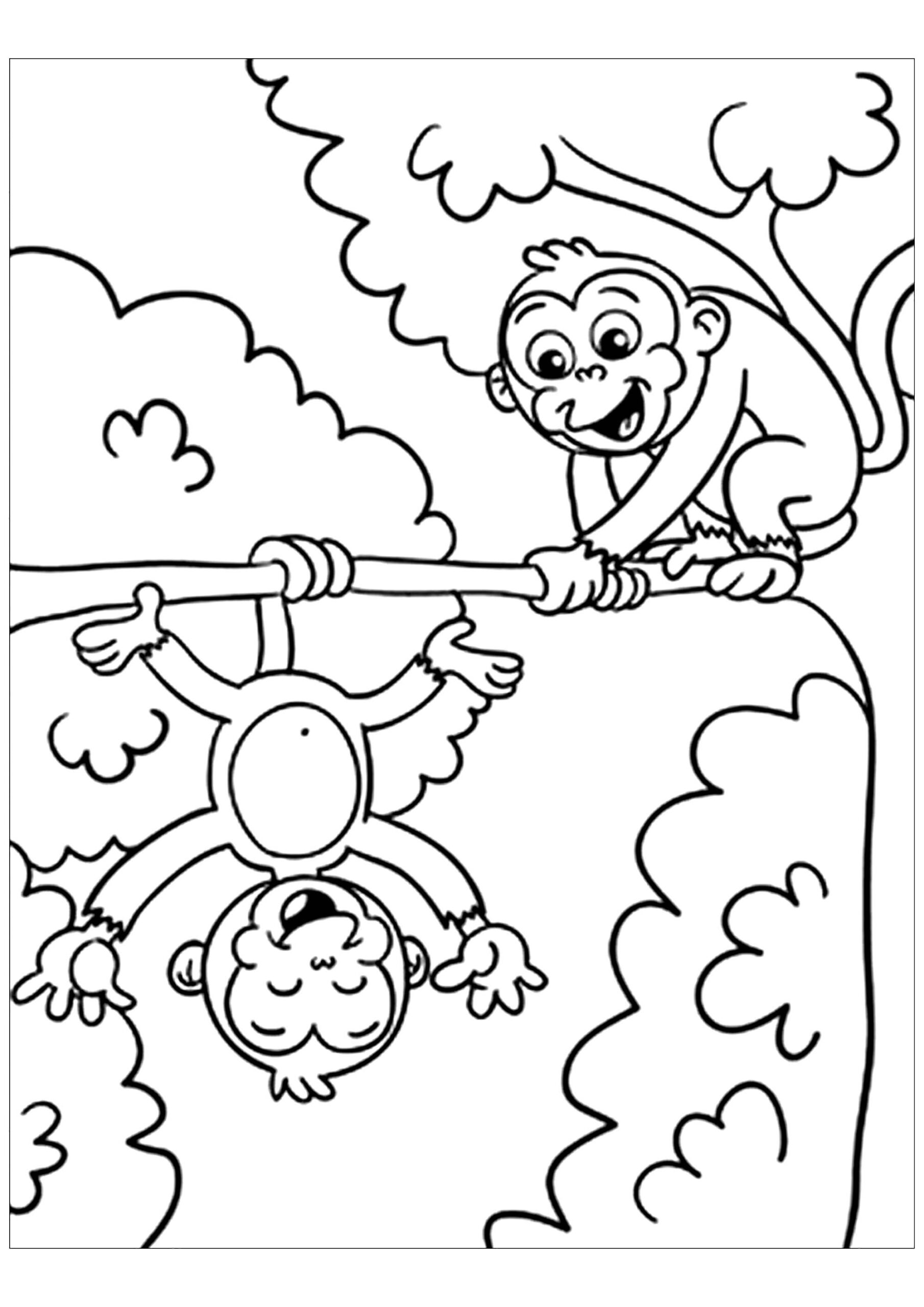 Free Monkey Drawing To Print And Color Monkey Coloring Pages Free Monkey Drawing To Print And Color Monkey Coloring Pages
