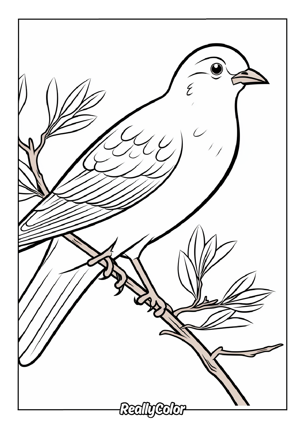 Free Printable Bird Coloring Pages Free Printable Bird Coloring Pages