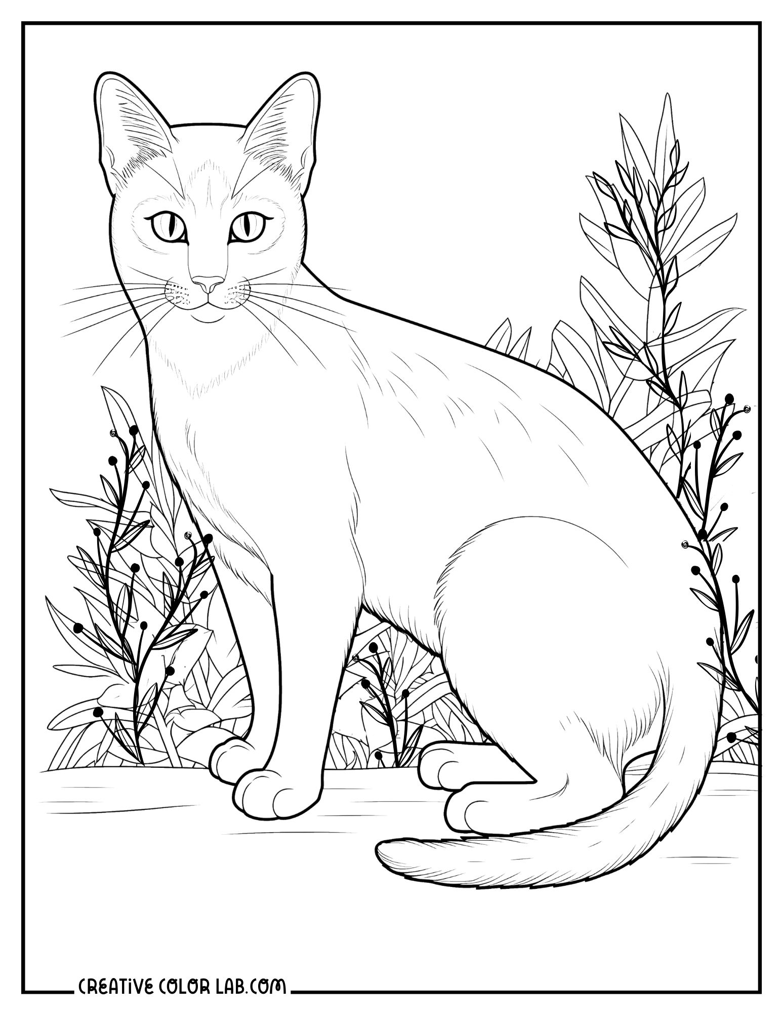 cat coloring pages printable