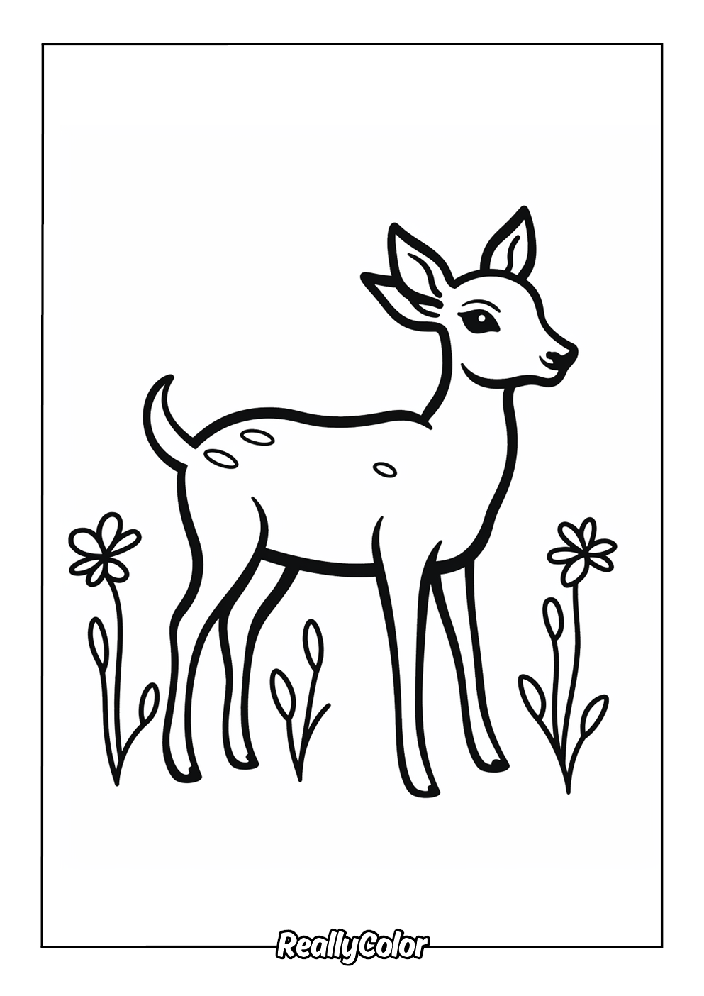 coloring page of a deer