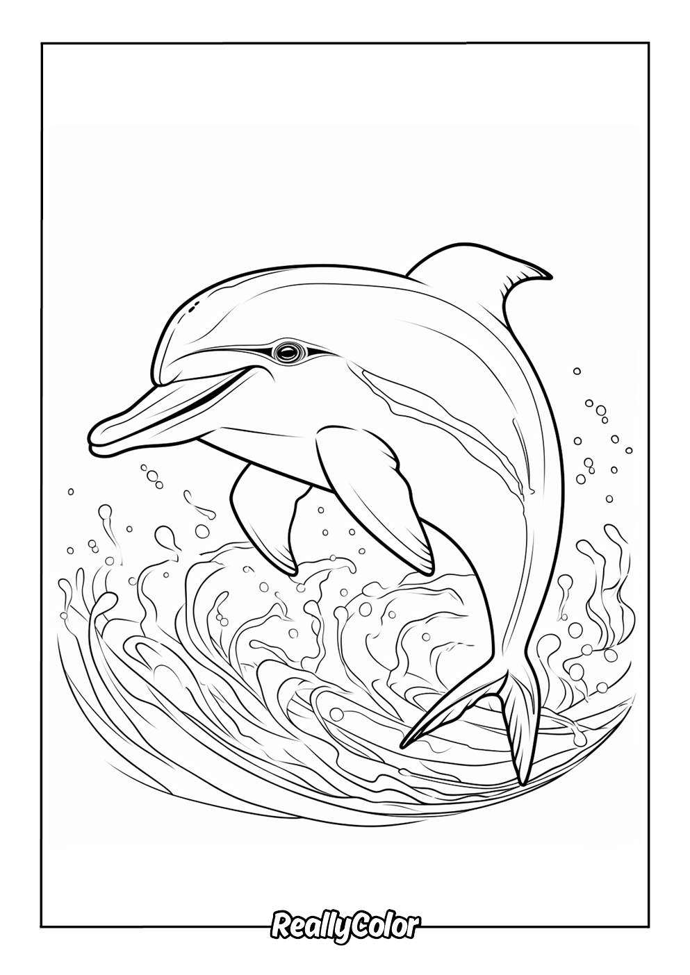 dolphin coloring book pages