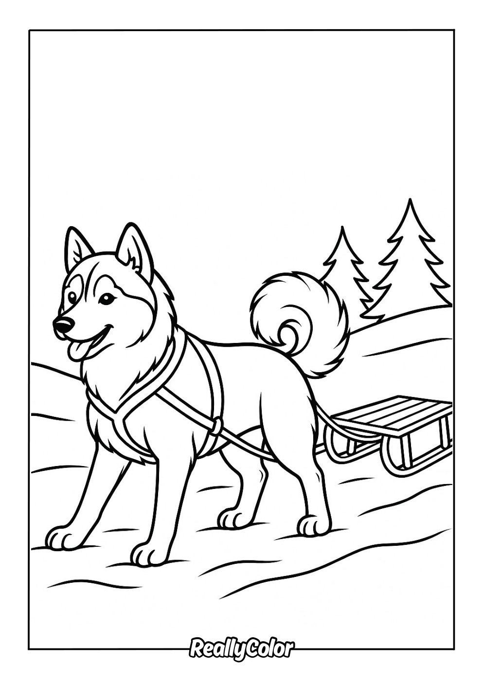 Free Printable Husky Coloring Pages