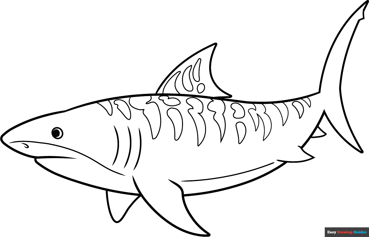 coloring sheets of sharks